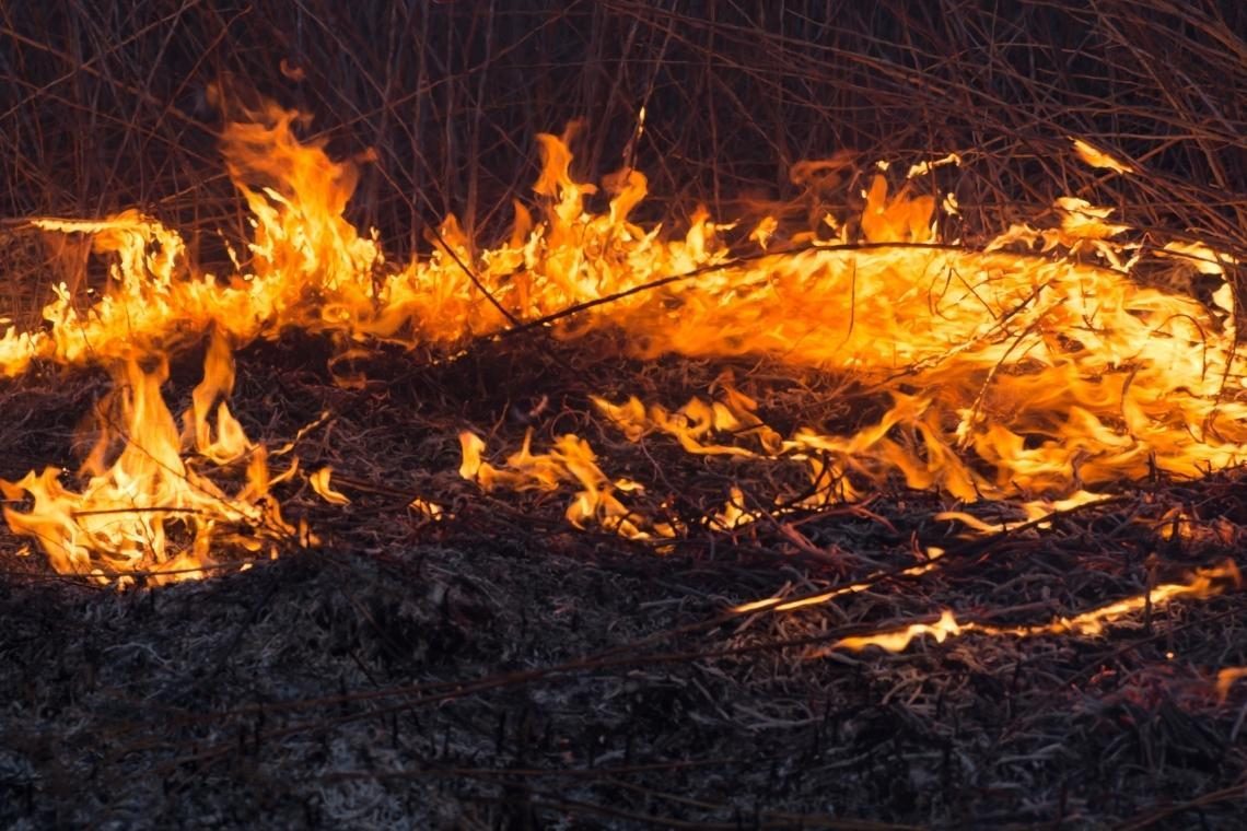 Ponovno zagorelo na Goriškem Krasu, požar se hitro širi