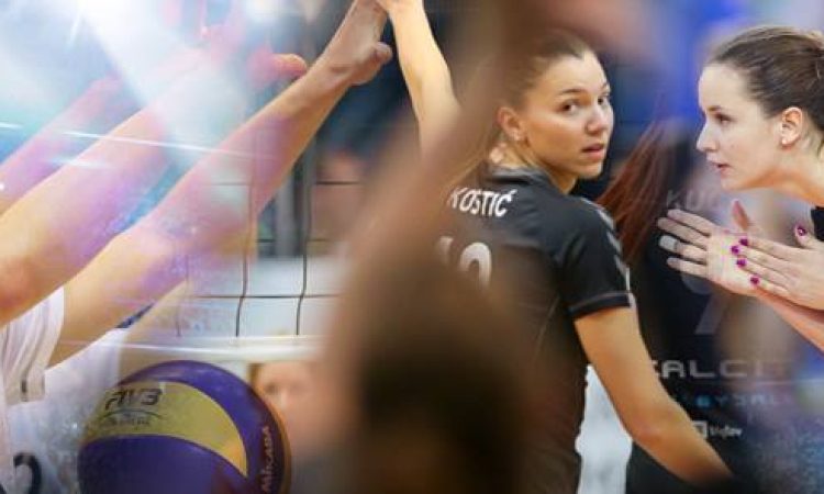 Calcit Volley - Črnuče 3:0