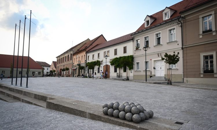 Jeseni začetek delovanja mednarodne osnovne šole v Mariboru 