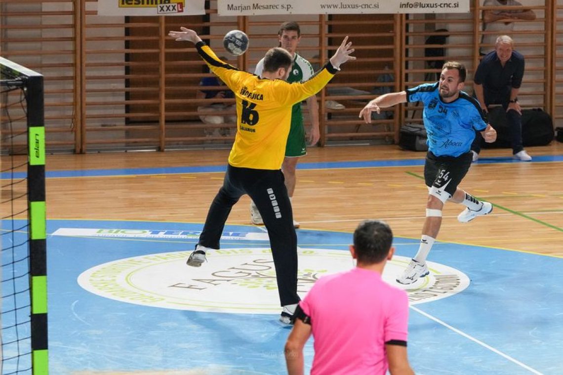 Rokometaši ormoškega Jeruzalema so premagali Škofljico z 29:28