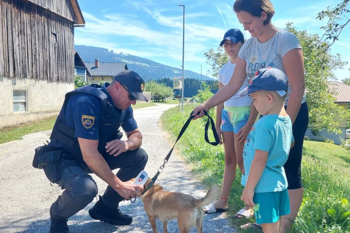 Celjski policisti v nadzorih zaznali več kršitev zakonodaje s področja živali 