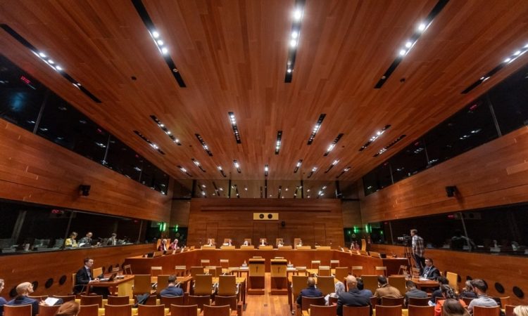 Spins: Edina rešitev primera Diarra je dogovor socialnih partnerjev