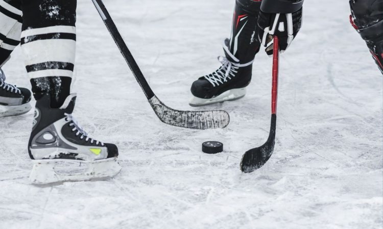 Vragi v ligi NHL zaustavili zmagoviti niz kraljev