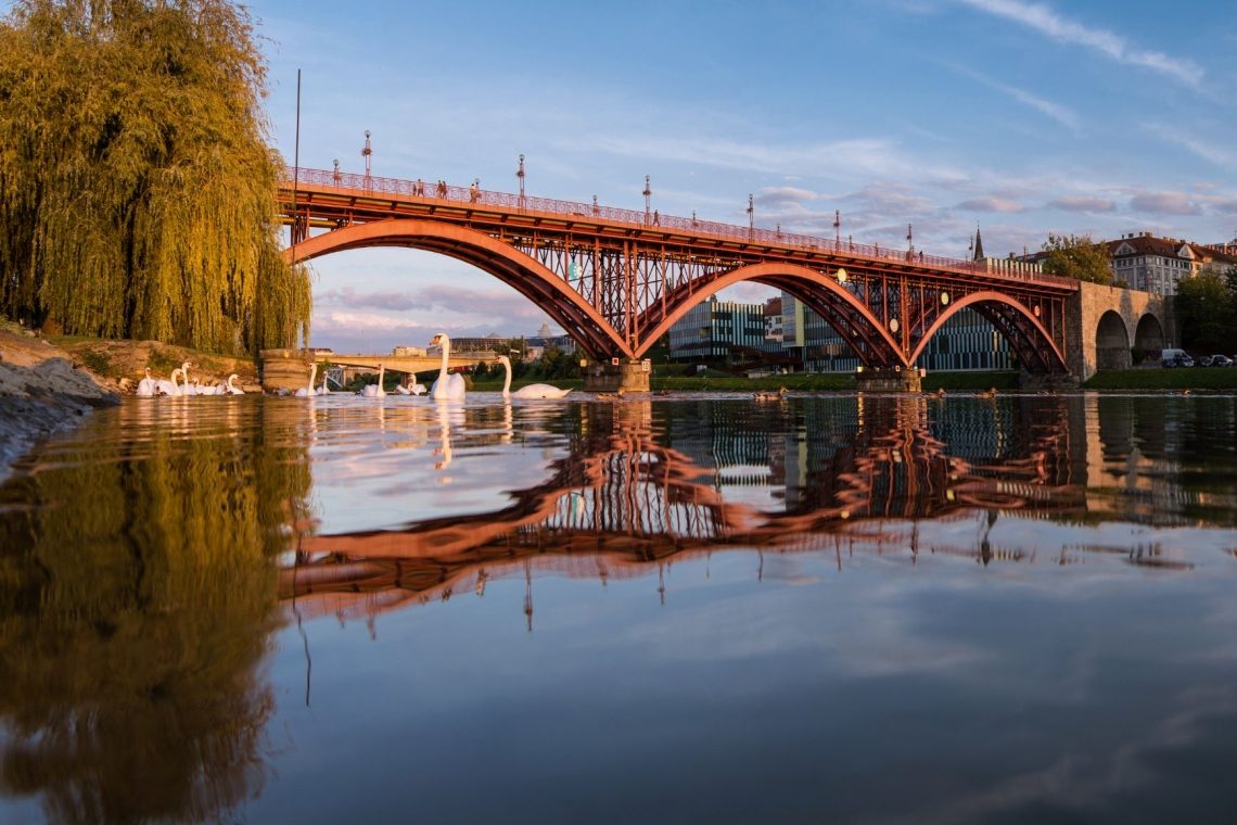 Maribor prejel naziv svetovnega mesta dreves