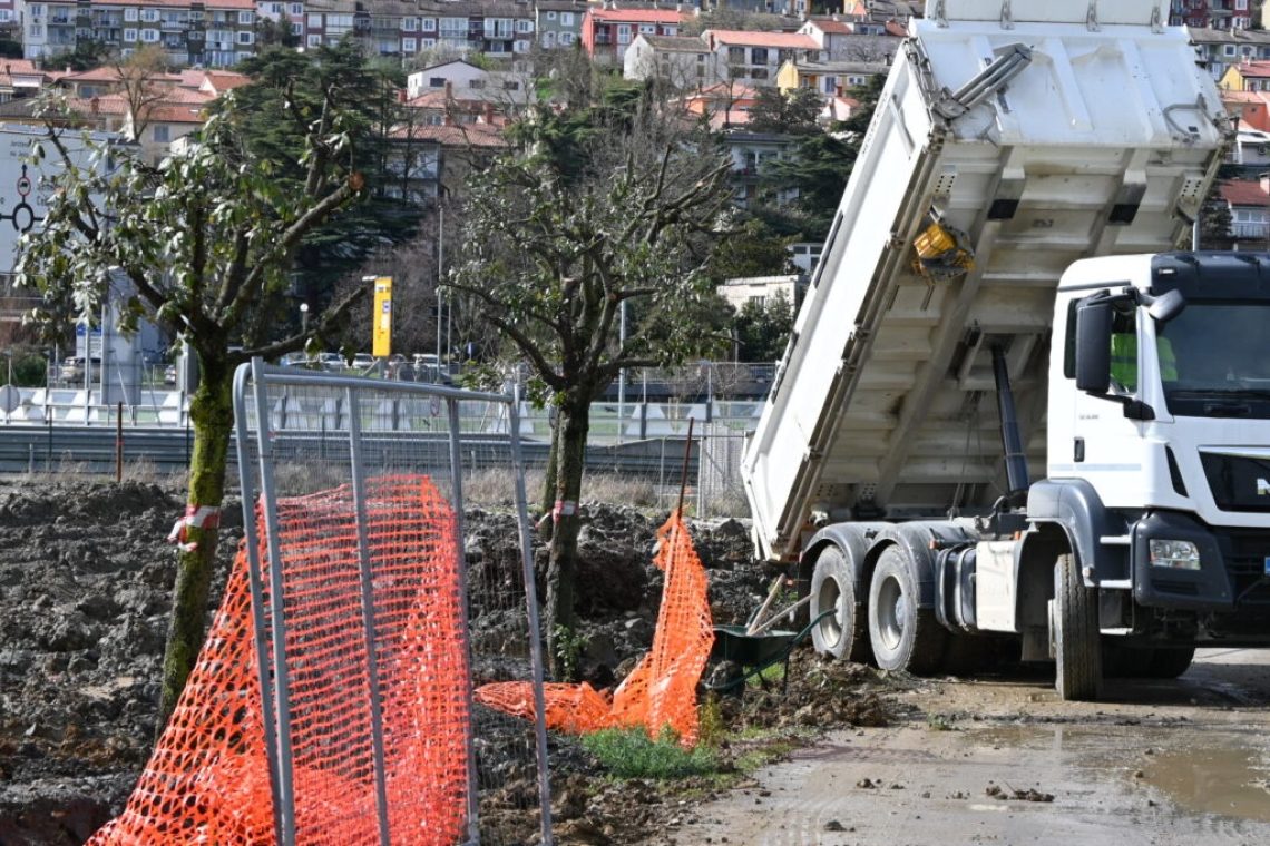 Vsi hrasti s parkirišča Za Barko rešeni in presajeni na Semedelsko bonifiko
