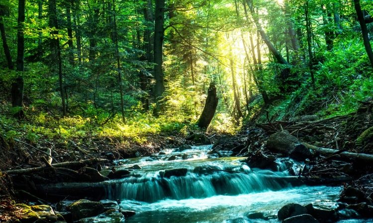 Reke po državi upadajo, Krka in Ljubljanica še poplavljata