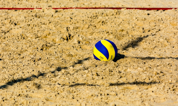 Lovšin in Javornik v Cervii do brona