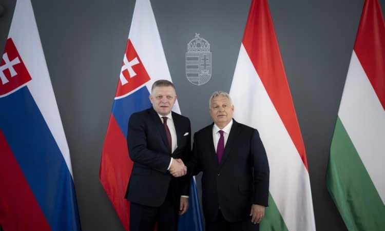 Evropski parlament opozarja, da Slovaška drsi proti madžarskemu modelu