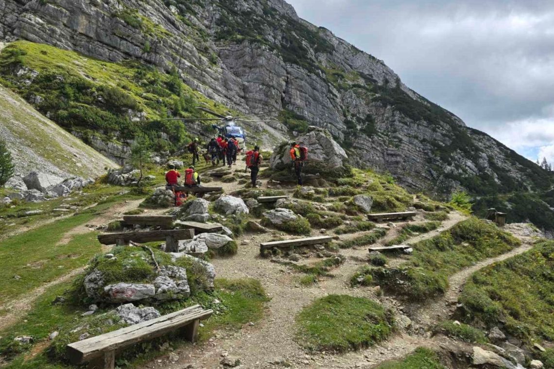 Jadralnega padalca v Radovljici z drevesa rešili gorski reševalci, na Triglavu poškodovan irski pohodnik