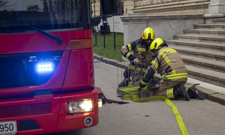 Izliv vode povzročil škodo na celjski zdravstveni šoli